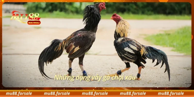 Những dạng vảy gà chọi xấu